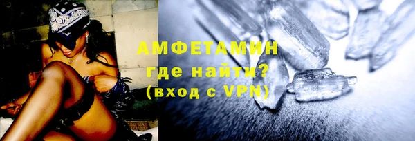 индика Осташков