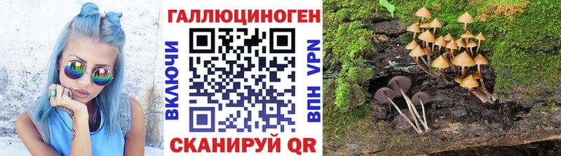 площадка наркотические препараты  Сосногорск  Псилоцибиновые грибы Psilocybe 